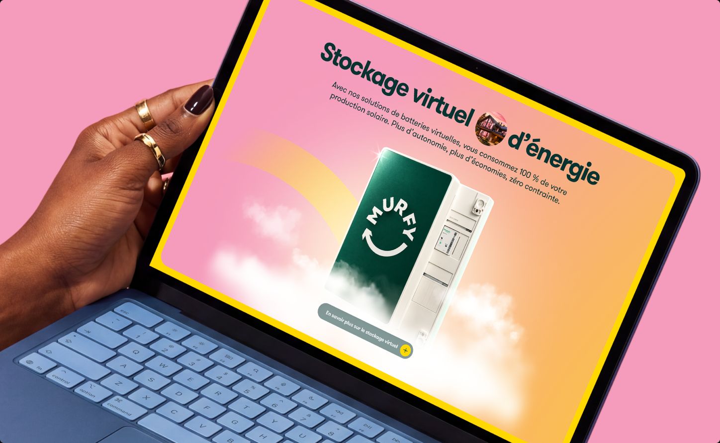 Laptop showing the virtual energy storage page
